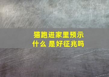 猫跑进家里预示什么 是好征兆吗